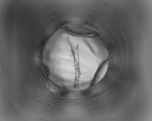 X0000073710671200608241444