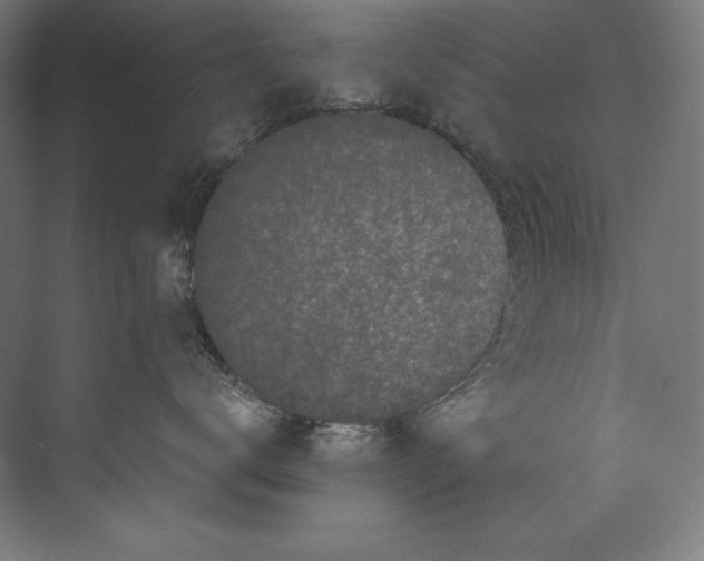 X0000073710672200608241444