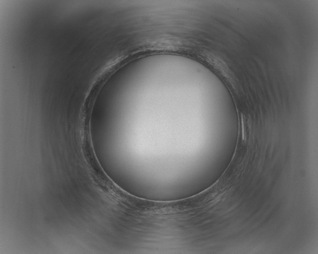 X0000073710675200608241444