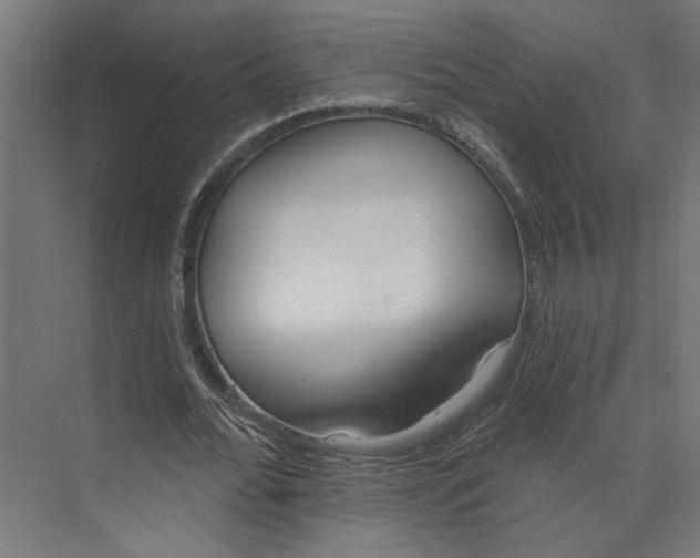 X0000073710676200608241444