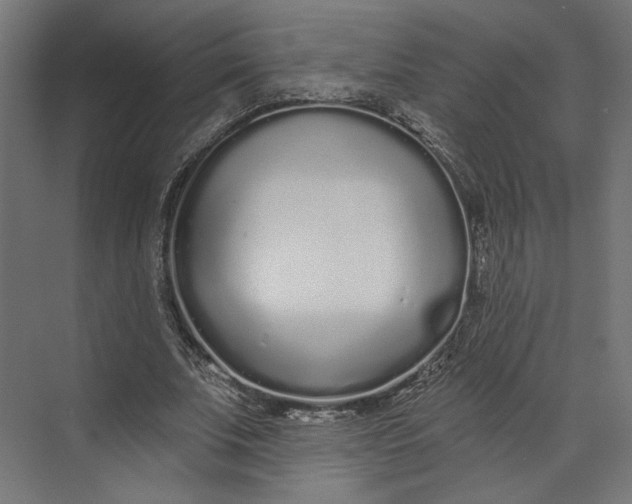 X0000073710679200608241444