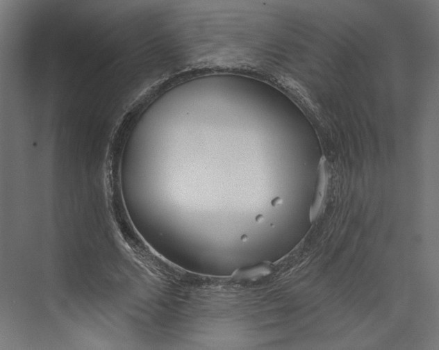 X0000073710680200608241443