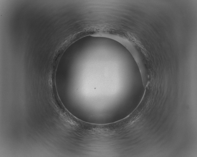 X0000073710681200608241443