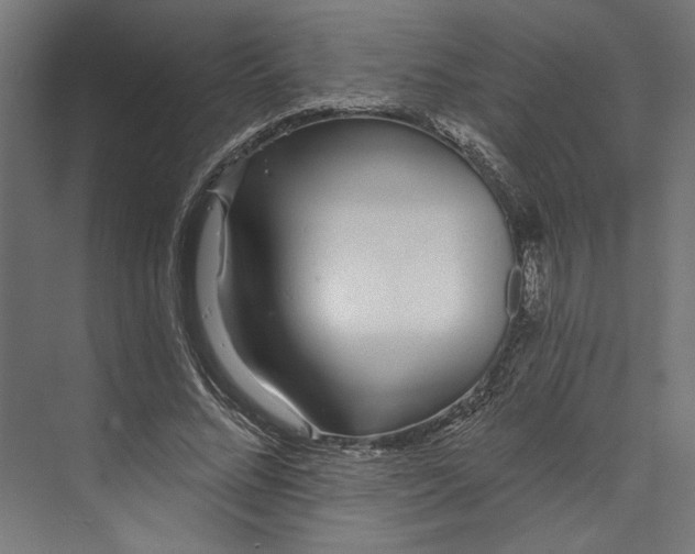 X0000073710684200608241443