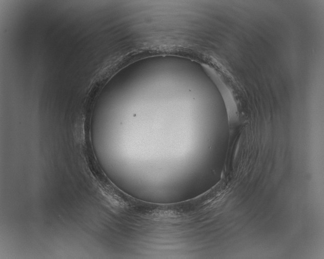 X0000073710685200608241443