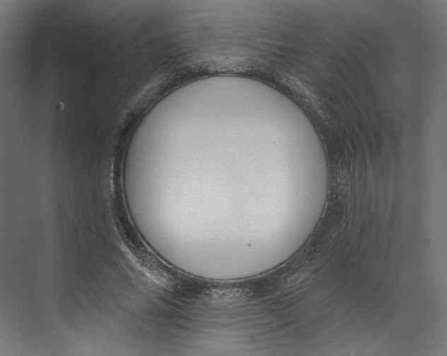 X0000073710686200608241443