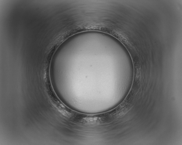 X0000073710687200608241443