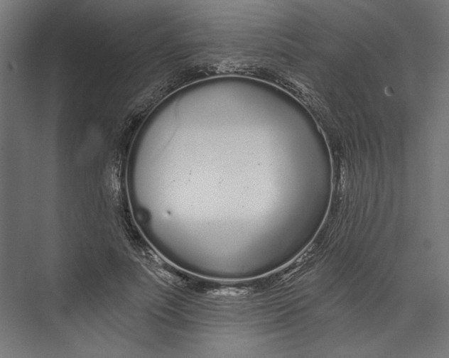 X0000073710691200608241443