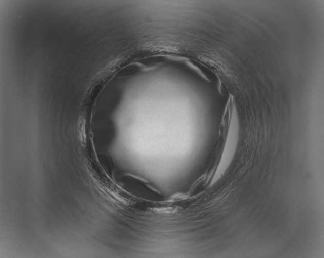 X0000073710692200608241443