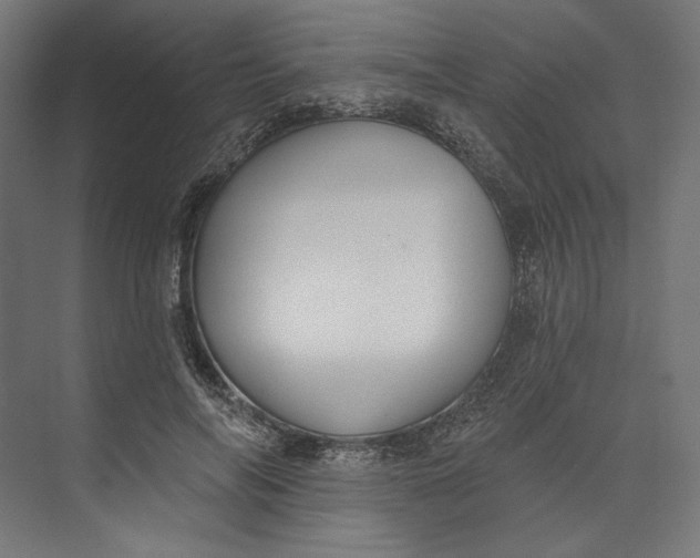 X0000073710694200608241443