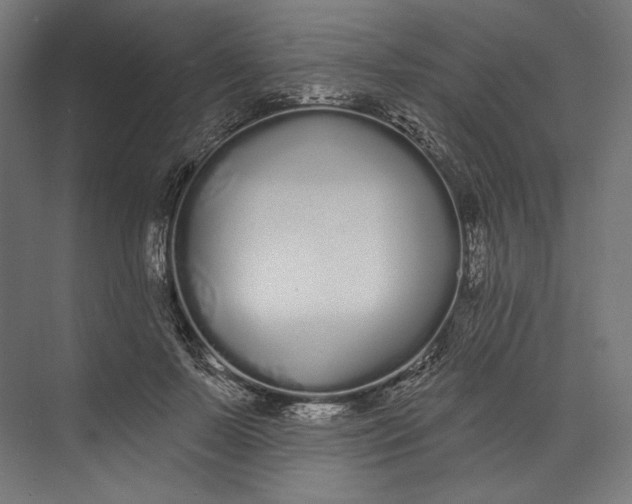 X0000073710695200608241443