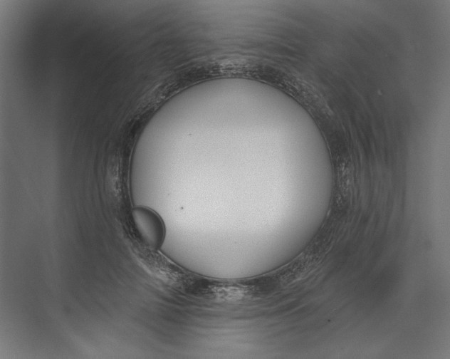 X0000073710698200608241443