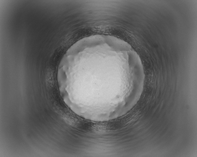 X0000073710699200608241443