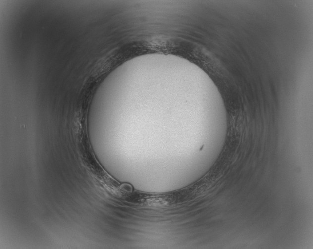 X0000073710702200608241443