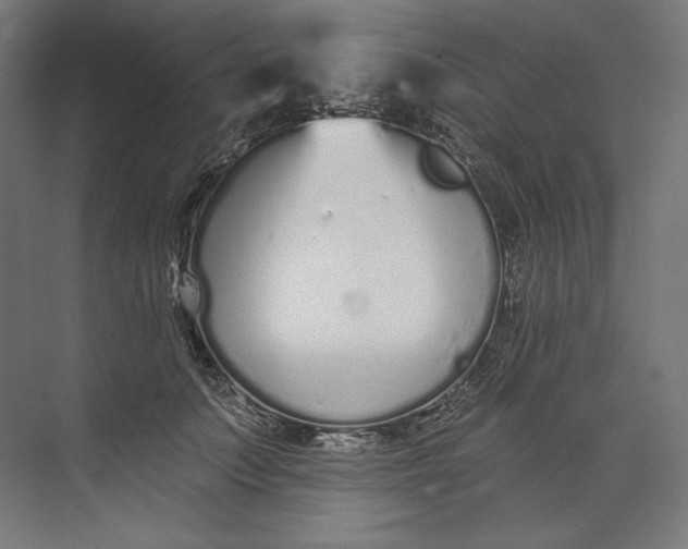 X0000073710703200608241443