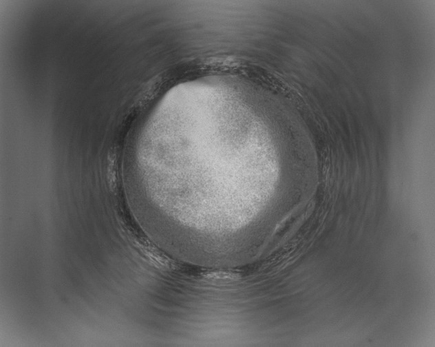 X0000073710708200608241443