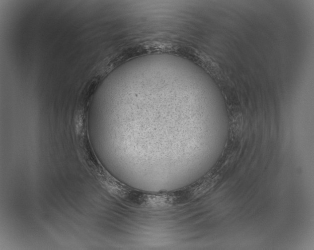 X0000073710709200608241443