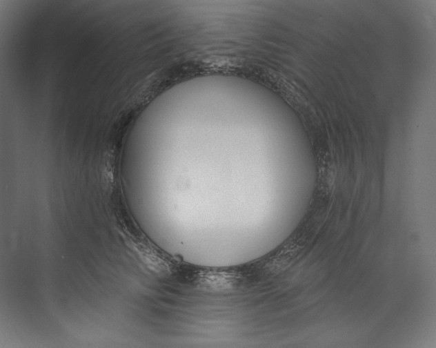 X0000073710710200608241443