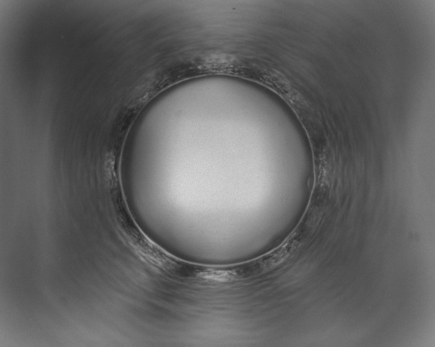 X0000073710711200608241443