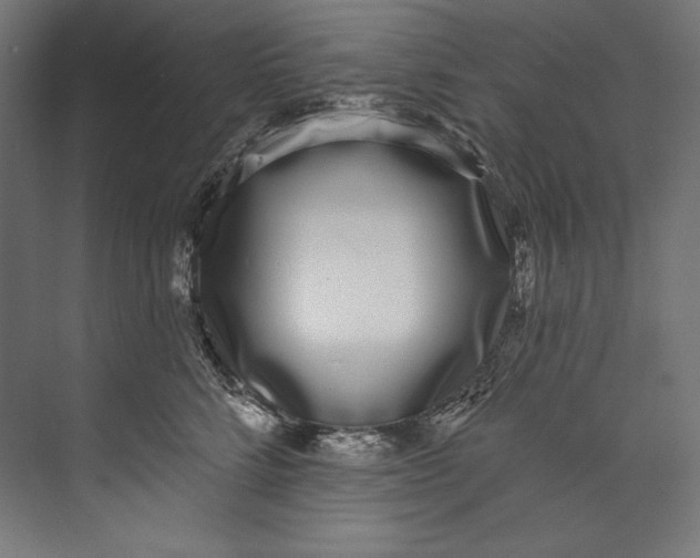 X0000073710712200608241443