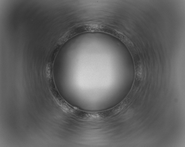 X0000073710715200608241443