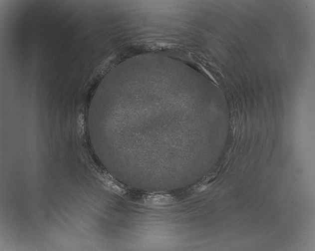 X0000073710716200608241443