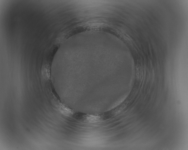 X0000073710718200608241443