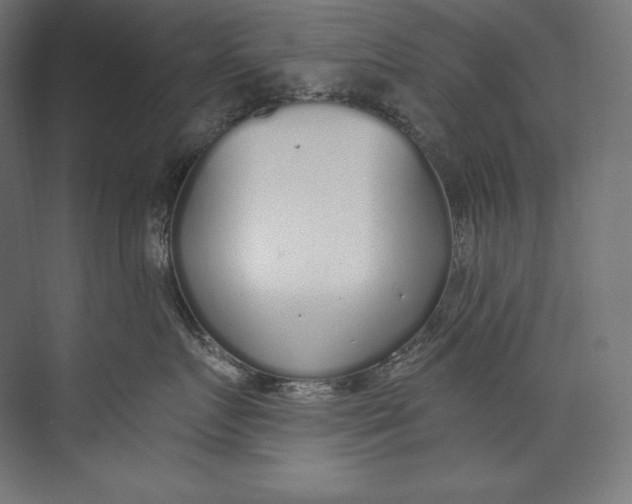 X0000073710719200608241443