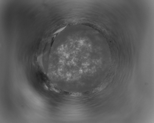 X0000073710720200608241443