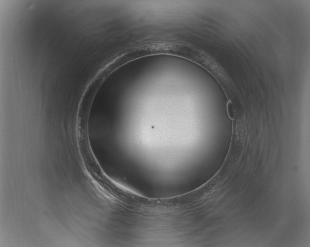 X0000073710722200608241442