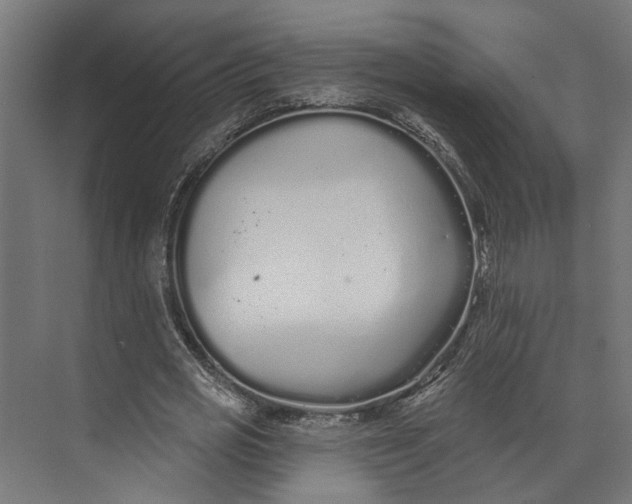 X0000073710725200608241442