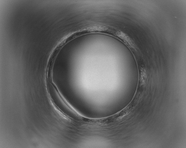 X0000073710726200608241442