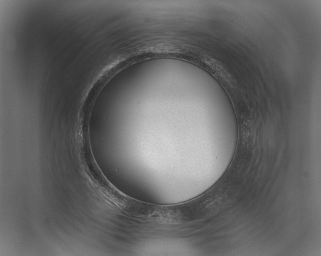 X0000073710727200608241442