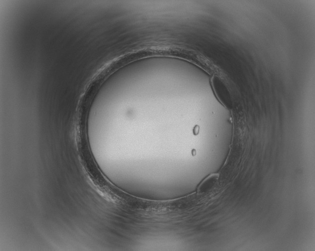 X0000073710728200608241442