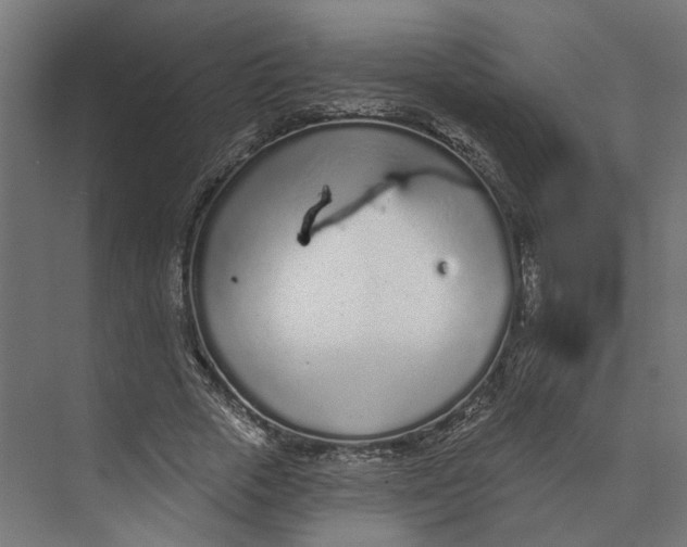 X0000073710729200608241442