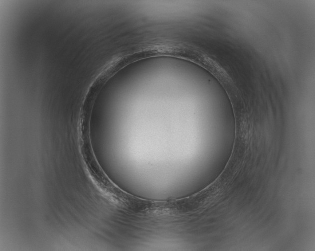 X0000073710730200608241442