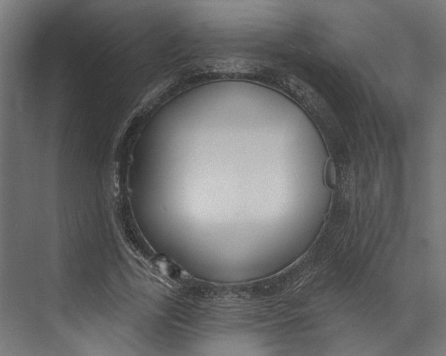 X0000073710731200608241442