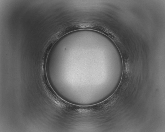 X0000073710733200608241442