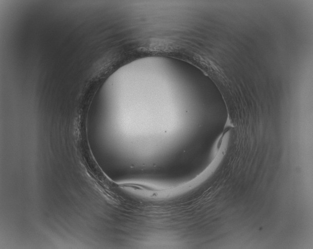 X0000073710735200608241442