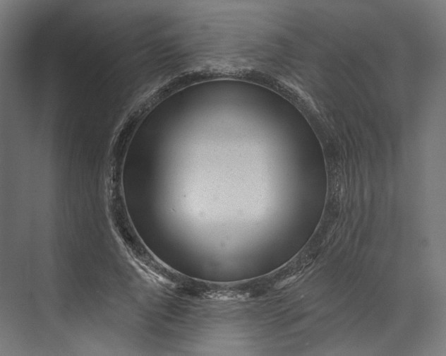 X0000073710736200608241442