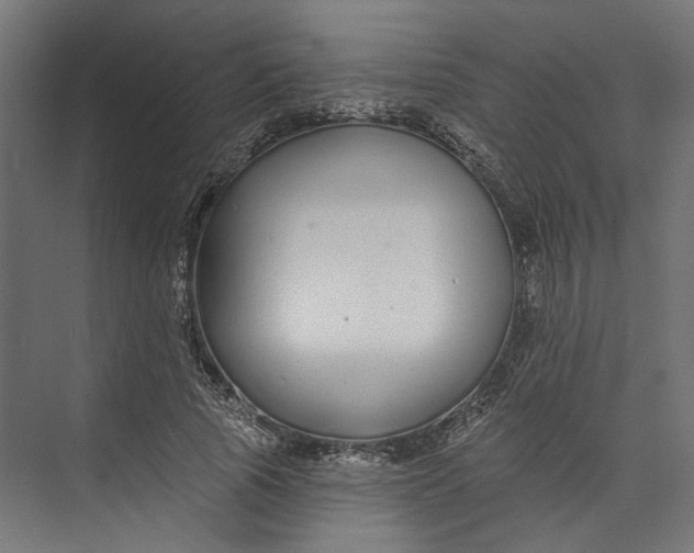 X0000073710737200608241442