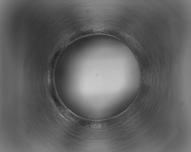 X0000073710740200608241442