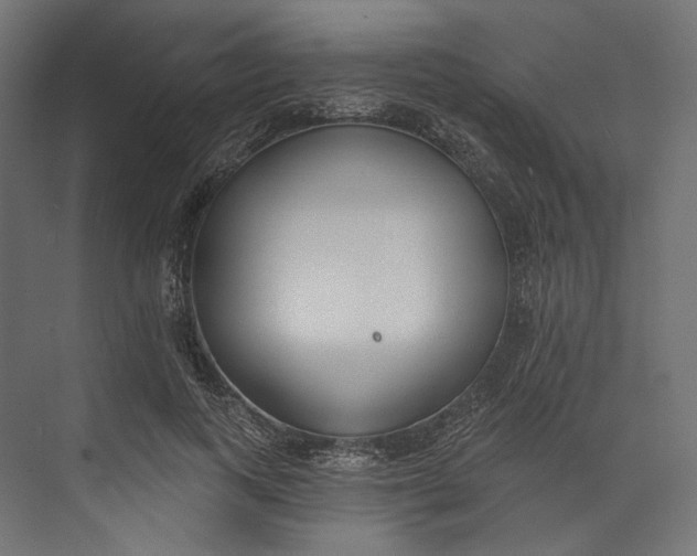 X0000073710743200608241442