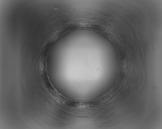 X0000073710746200608241442