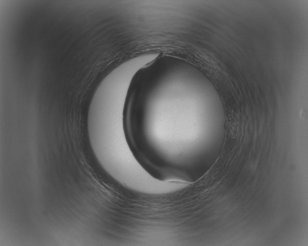 X0000073710748200608241442