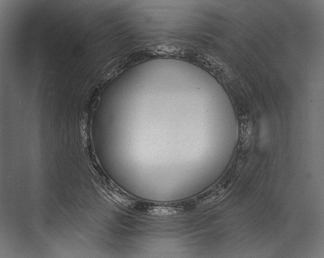 X0000073710749200608241442