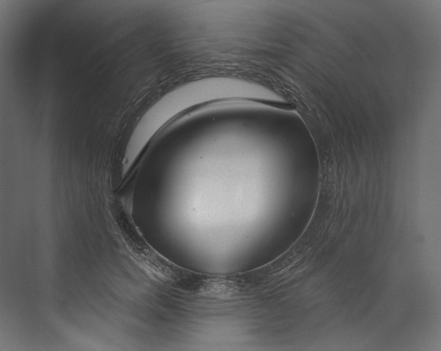 X0000073710750200608241443