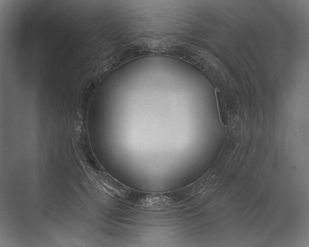 X0000073710752200608241443