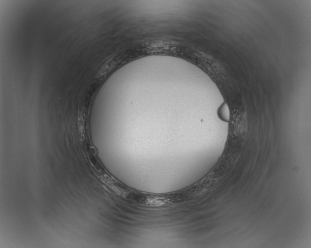 X0000073710753200608241443