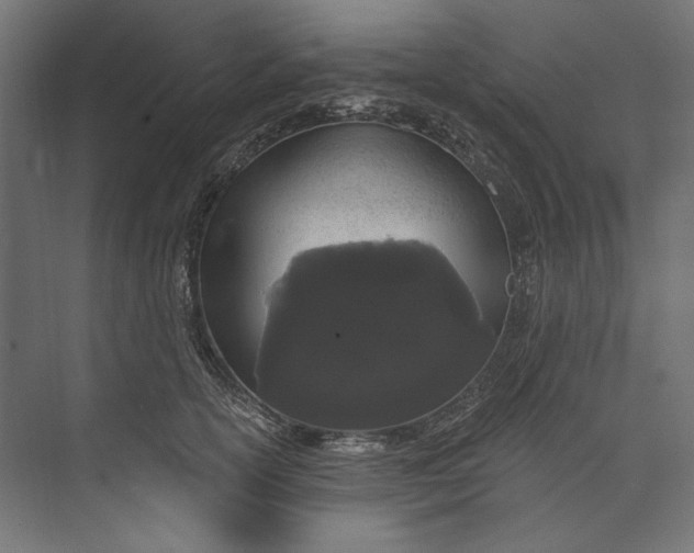 X0000073710754200608241443